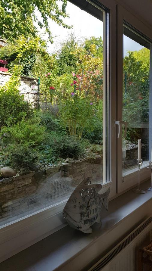 Blick Ueber Krems Mit Gartenpavillon Екстериор снимка