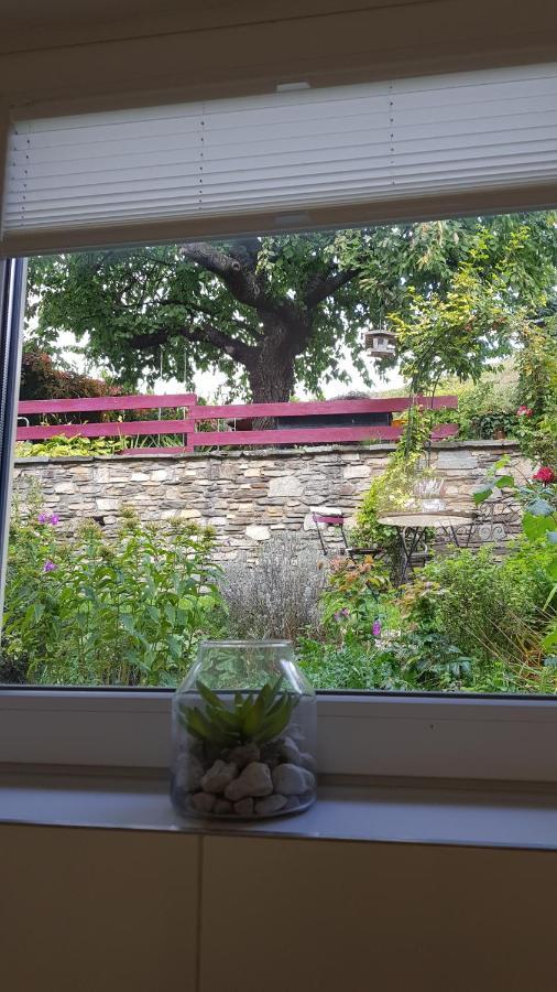 Blick Ueber Krems Mit Gartenpavillon Екстериор снимка